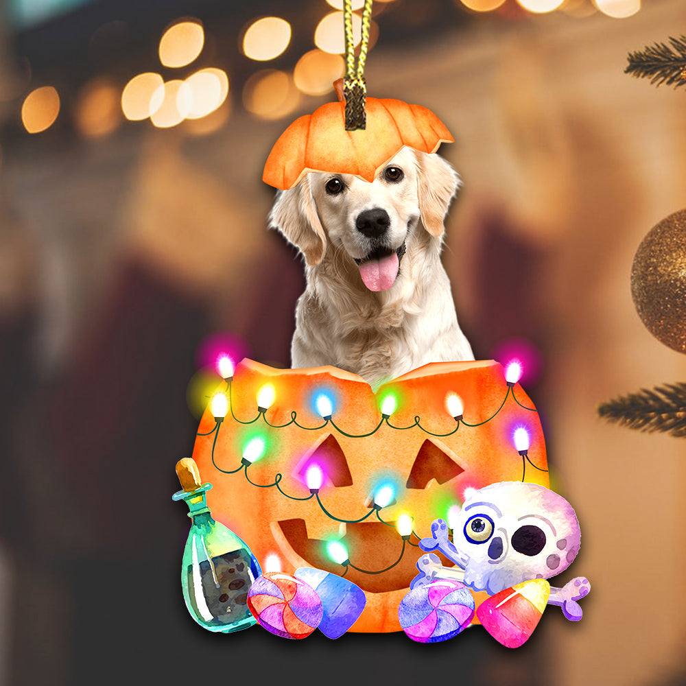 Happy Halloween Pumpkin Pet  - Custom Photo, Personalized Acrylic Ornament - Gift For Pet Lover